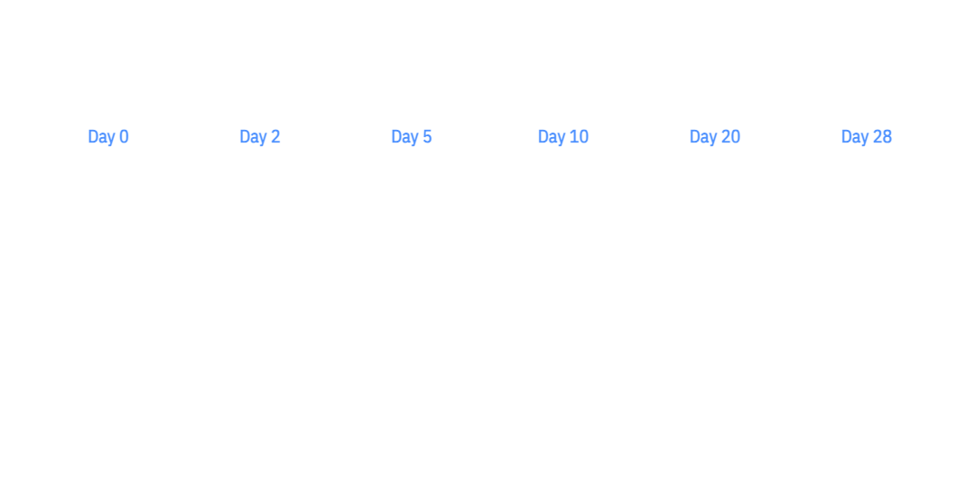 Audit checklist - visual selection (4)